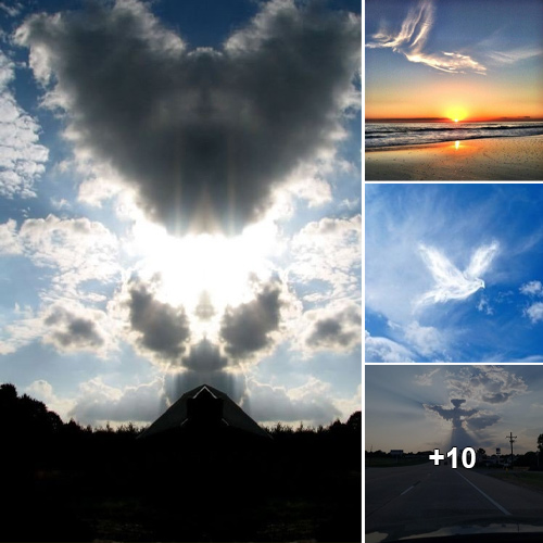 “Whimsical Cloud Formation: Discover Delightful Shapes of Animals and Angels in the Sky”